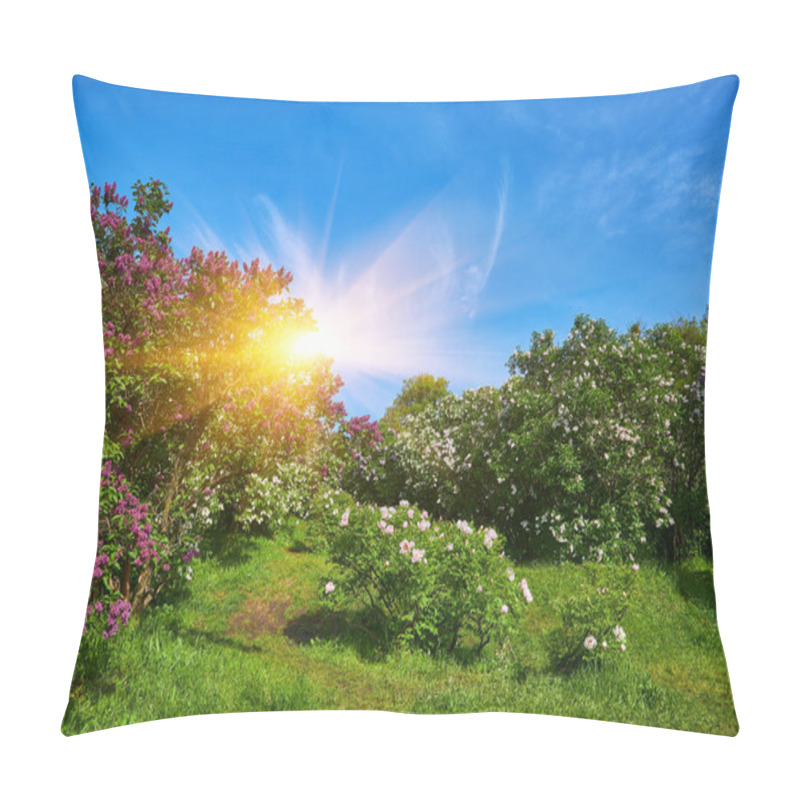 Personality  Sunny Day In Lilac Alley In A Botanical Garden In Europe Pillow Covers