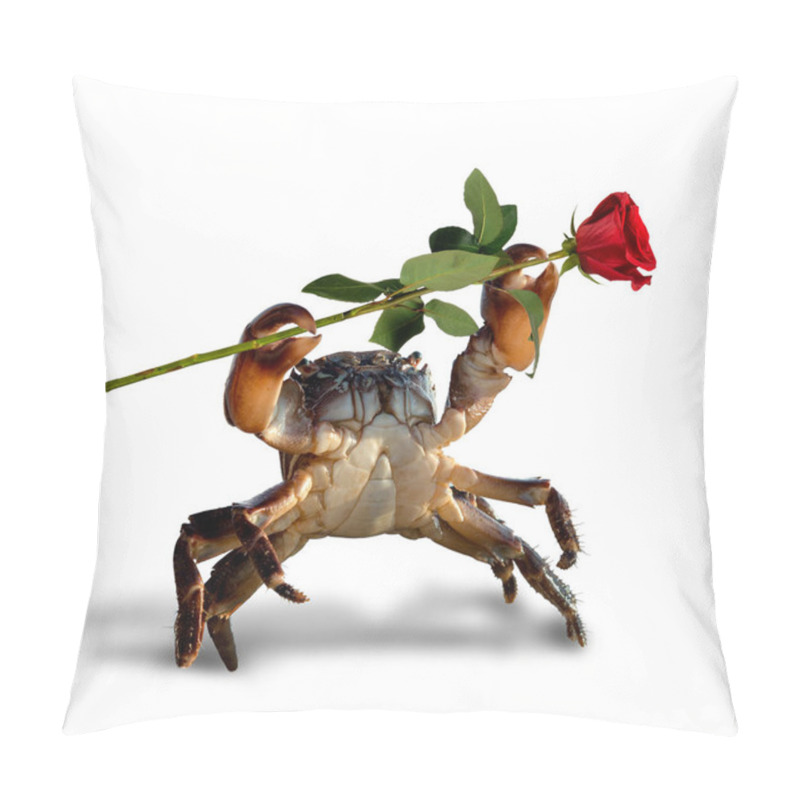 Personality  Crab Bricklayer Lifted Claws Up With Single Rose, On White Background; Isolated, St. Valentine's Day Concept Pillow Covers