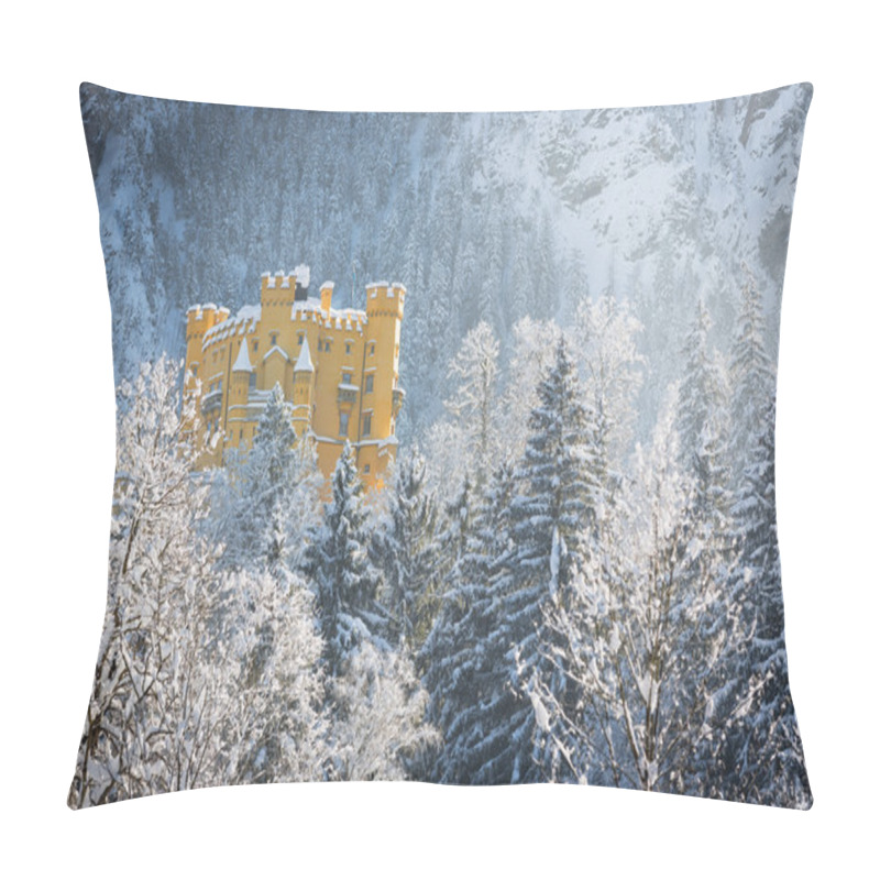 Personality  Hohenschwangau Castle In Wintery Landscape, Germany Pillow Covers