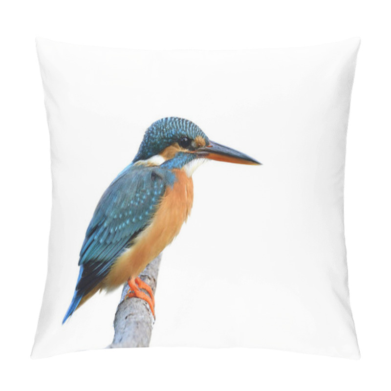 Personality  Turqouise Blue Bird With Black And Red Beaks Calmly Perching On Wooden Branch Isolated On White Background, Common Kingfisher (Alcedo Atthis) Pillow Covers