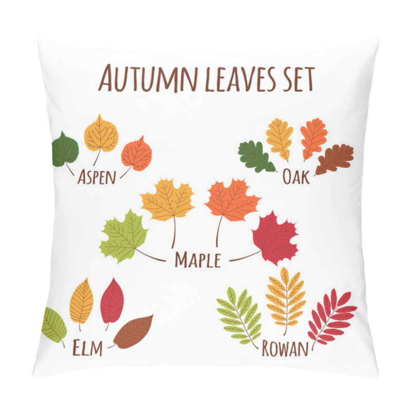 Personality  Autumn Leaves Set Vector. Pillow Covers