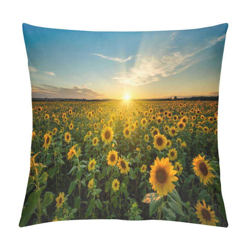 Personality  Beautiful Sunset Over Sunflower Field Pillow Covers