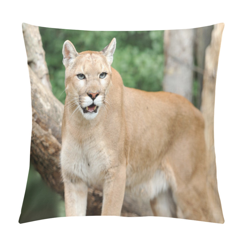 Personality  Puma Pillow Covers