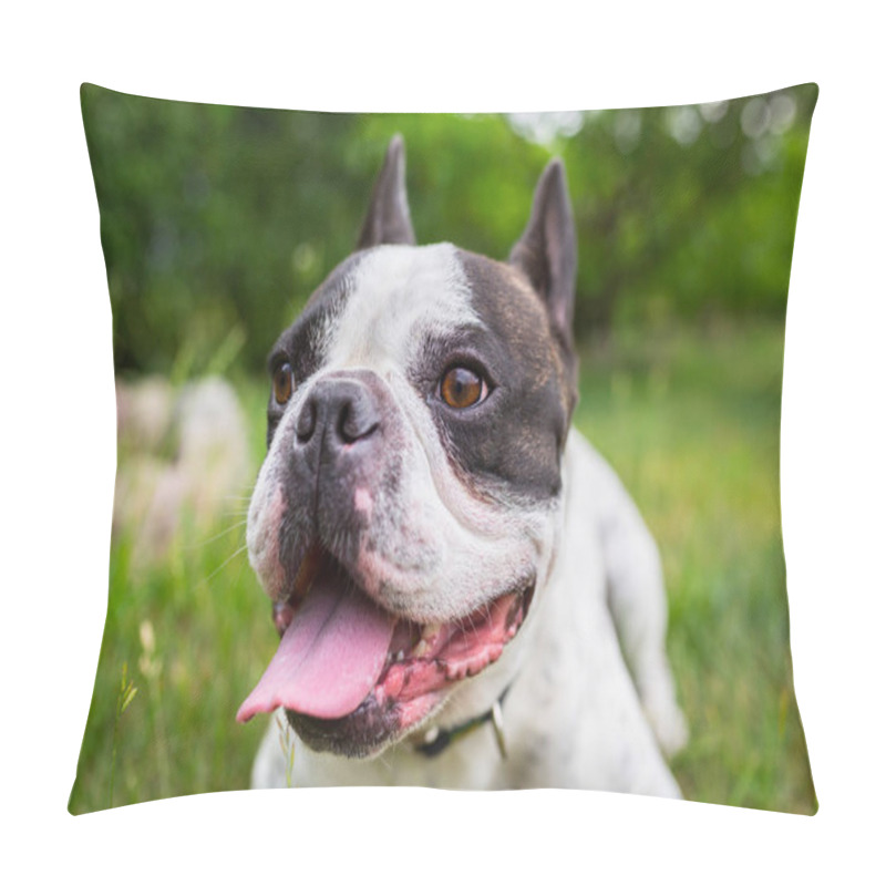 Personality  French Bulldog In The Garden Pillow Covers