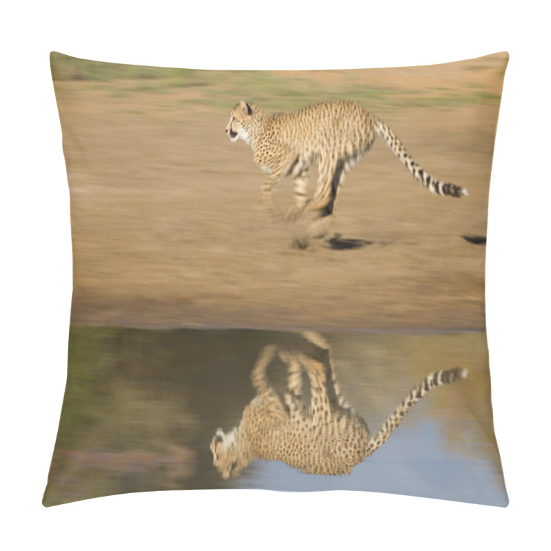 Personality  Cheetah (Acinonyx Jubatus) Running Fast Pillow Covers