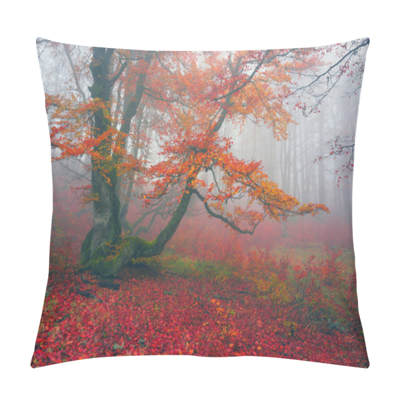 Personality  Autumn In Forest Of Ukrainian Carpathians Pillow Covers