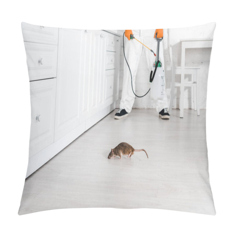 Personality  Cropped View Of Exterminator With Toxic Spray In Hand Standing Near Rat On Floor  Pillow Covers