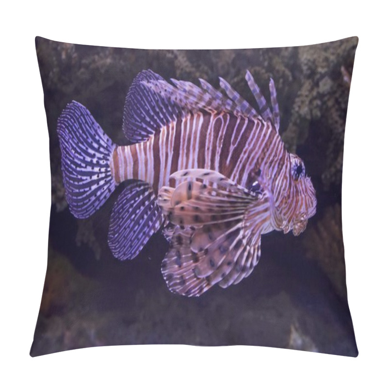 Personality  Scorpion Fish Pillow Covers