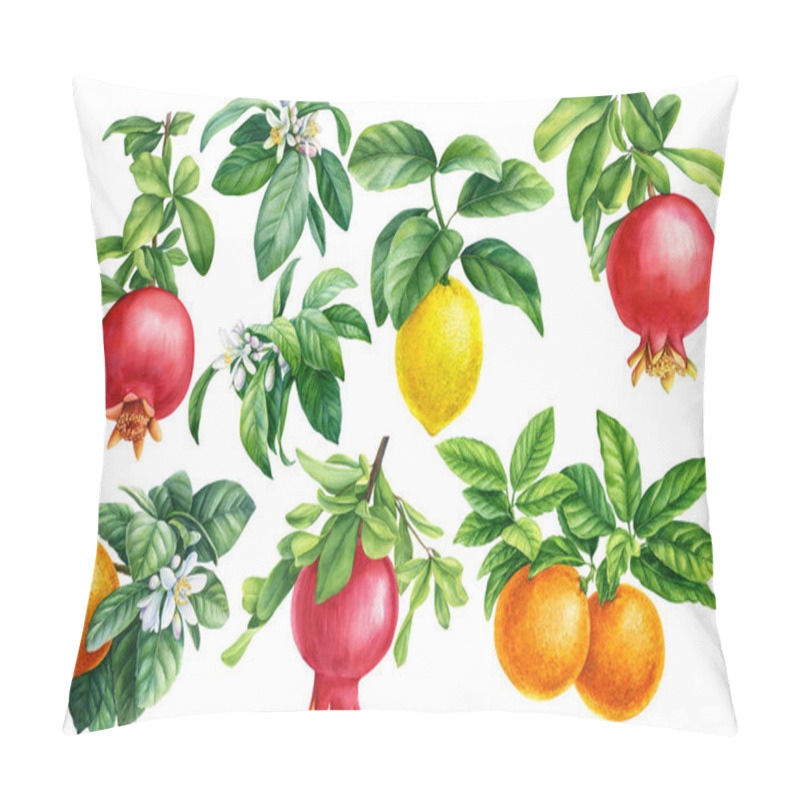 Personality  Fruit, Pomegranate, Mandarin, Lemon, Blueberry And Sea-buckthorn Berries On A Branch, Botanical Watercolor Drawing Pillow Covers