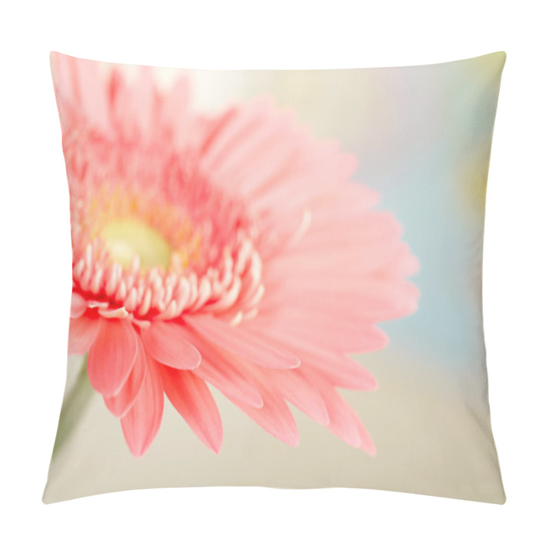 Personality  Closeup Photo Of Pink Daisy-gerbera Pillow Covers