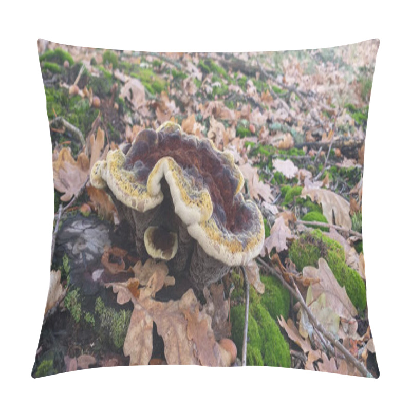 Personality  Mushroom On Green Moss And Dry Leaves, Shallow Dof Pillow Covers