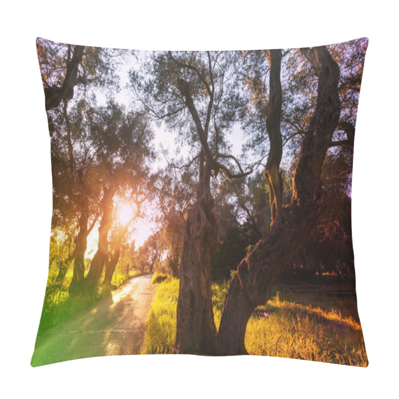 Personality  Summer Olives Garden Pillow Covers