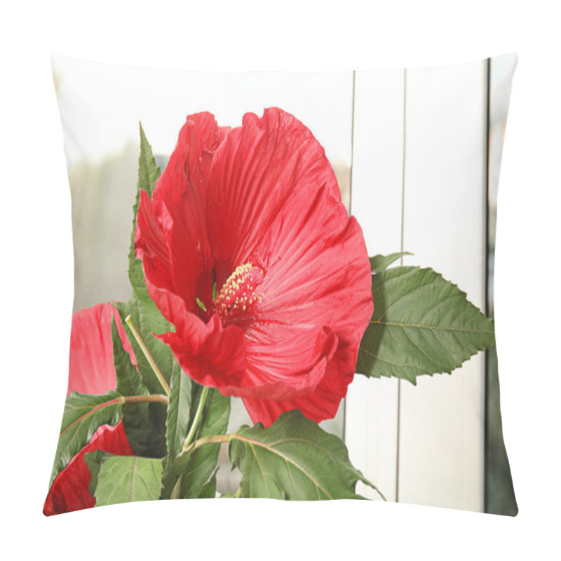 Personality  Beautiful Red Hibiscus Flower Near Window Indoors Pillow Covers