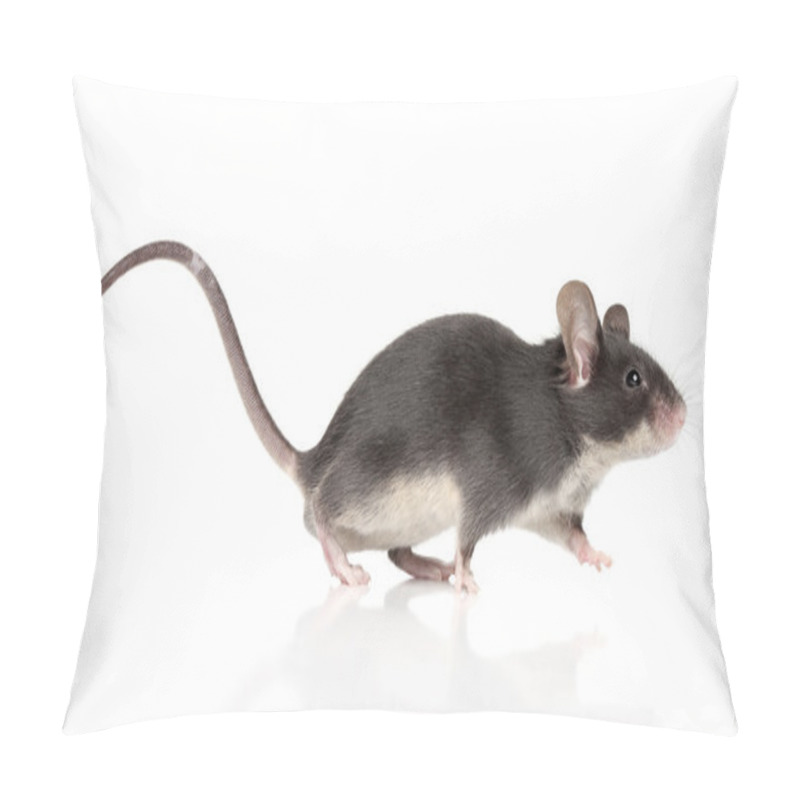 Personality  Mouse With A Long Tail Running Pillow Covers