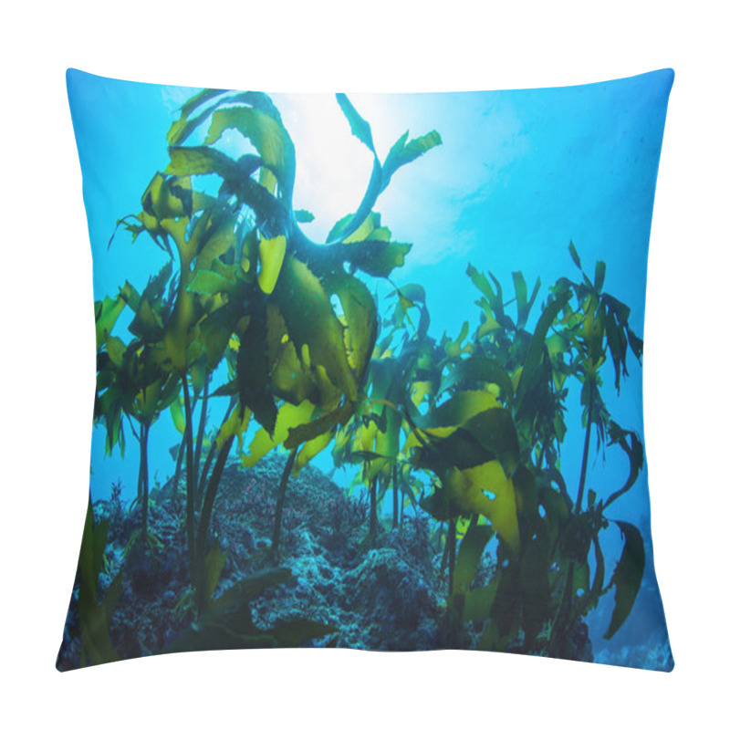 Personality  Forest Of Seaweed Pillow Covers