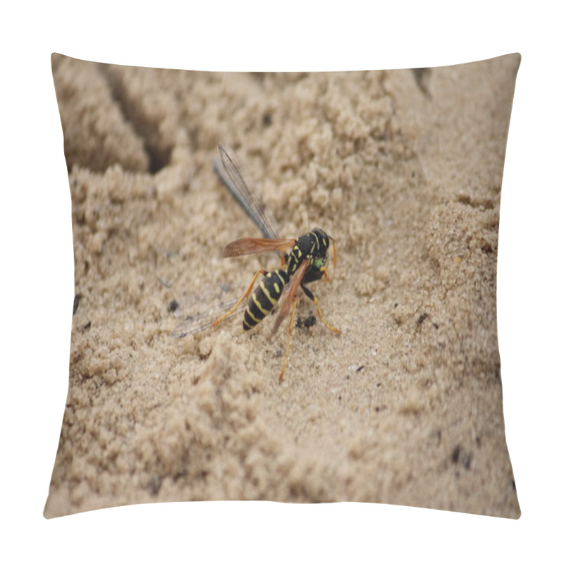 Personality  Insects Fighting Pillow Covers