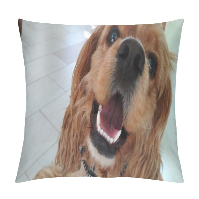 Personality  Beautiful Dog Cocker Spaniel Pillow Covers