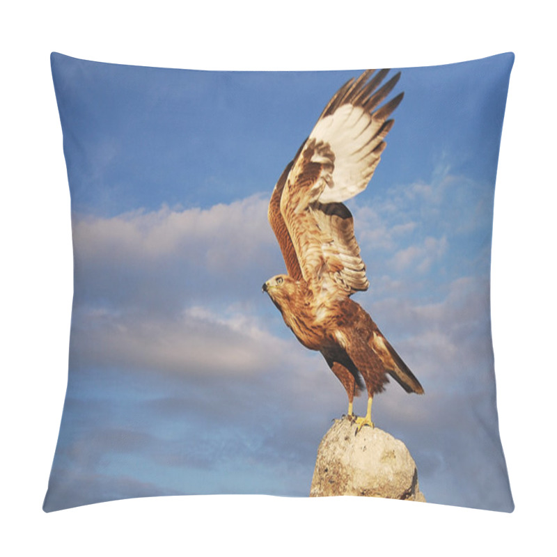 Personality  Eagle Pillow Covers