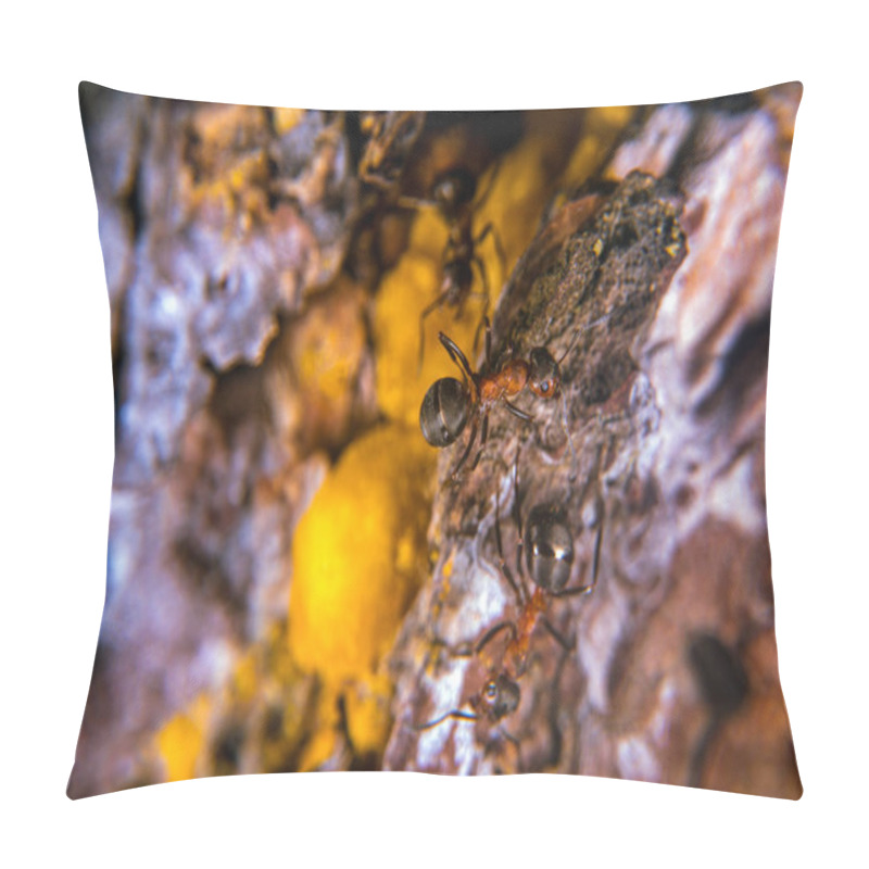 Personality  Red Wood Ant Pillow Covers