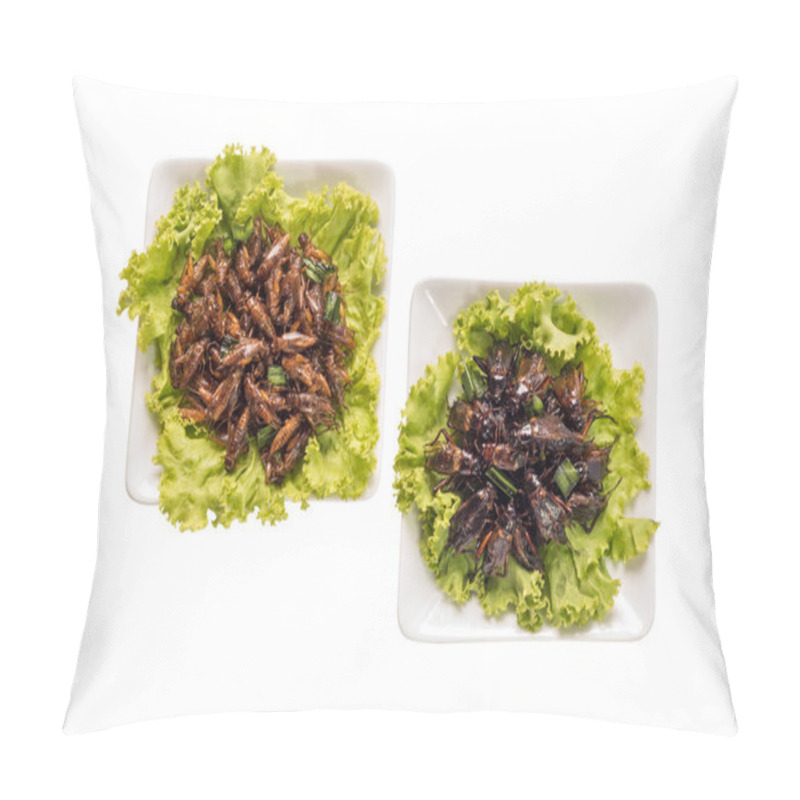 Personality  Food Insect, Fried Insects Or Cricket Insect Crispy Pillow Covers