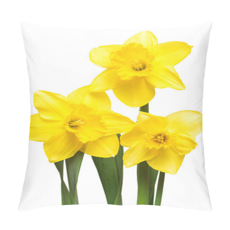 Personality  Bouquet Of Yellow Daffodils Flowers Isolated On White Background. Flat Lay, Top View  Pillow Covers