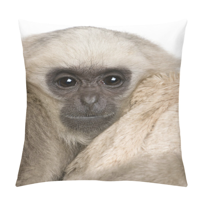 Personality  Close-up Of Young Pileated Gibbon (1 Year) Pillow Covers