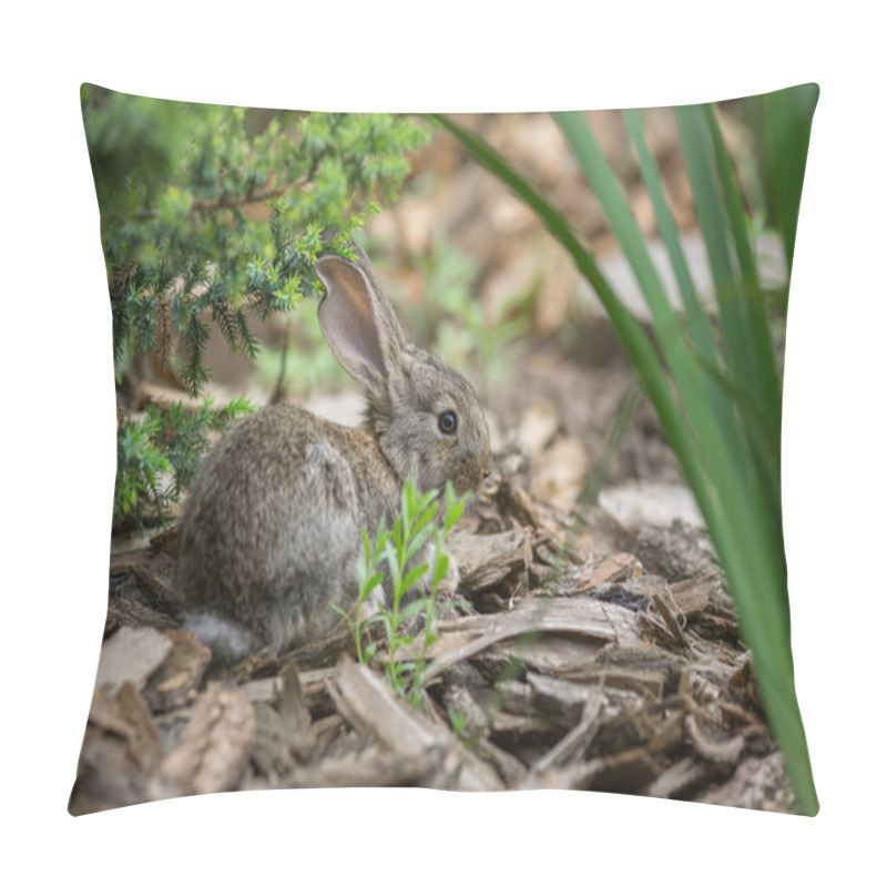 Personality  Rabbit Is Beautiful Animal Of Nature Pillow Covers