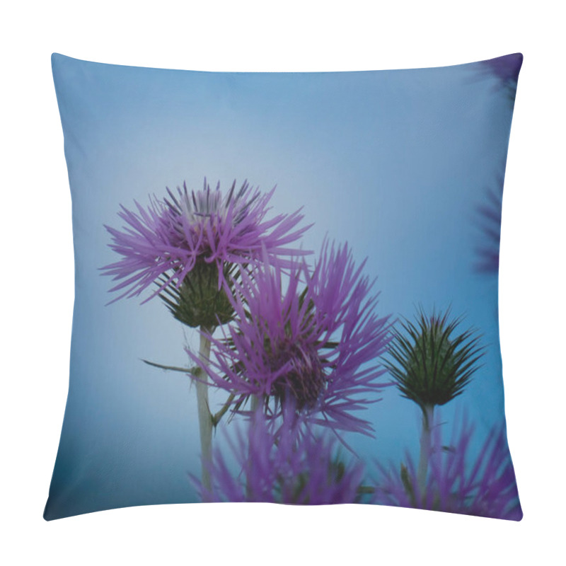 Personality  Thistle Flower At The Edge Of A Road Near The Llobregat River In The Baix Llobregat Region. Spring Colors. Mediterranean Colors. Pillow Covers