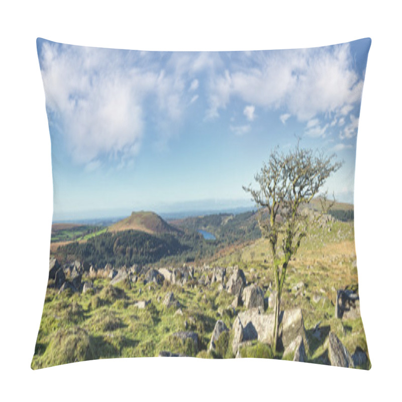 Personality  Dartmoor National Park Pillow Covers