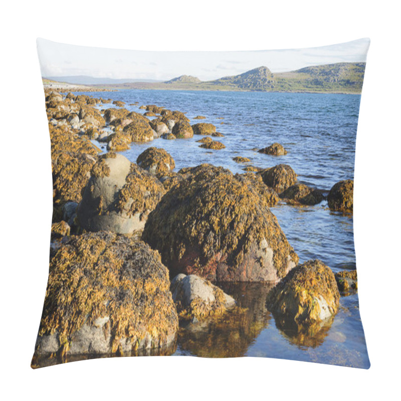 Personality  Stones With Brown Algae At Seacoast Pillow Covers