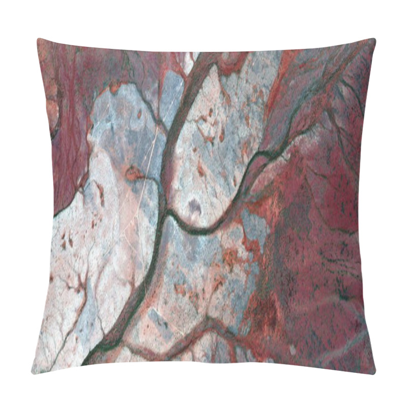 Personality  Abstract Landscape Of The Deserts Of Africa From The Air Emulating The Shapes And Colors Of The Forests In Autumn Pillow Covers