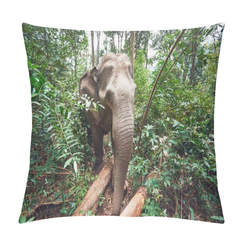 Personality  Elephant In Jungle Pillow Covers