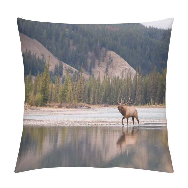 Personality  Elk In Wild, Animal. Nature, Fauna Pillow Covers