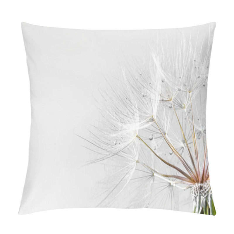 Personality  Dandelion Seeds. Seeds Macro Closeup. Spring Nature Pillow Covers