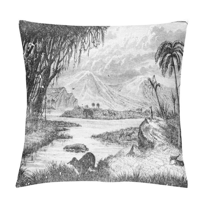 Personality  Illustration Of A River In The Desert Pillow Covers