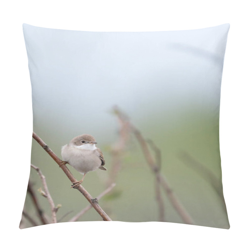 Personality  Common Whitethroat Or Greater Whitethroat (Curruca Communis) Is A Common And Widespread Typical Warbler In Europe. Pillow Covers