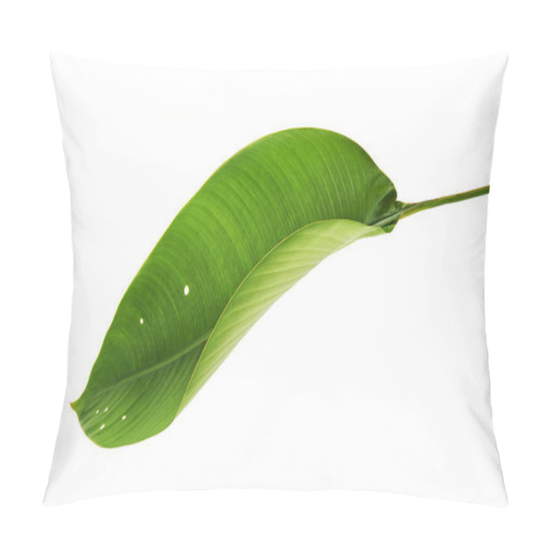 Personality  Strelitzia Reginae, Heliconia, Tropical Leaf, Bird Of Paradise Foliage Isolated On White Background, With Clipping Path                            Pillow Covers