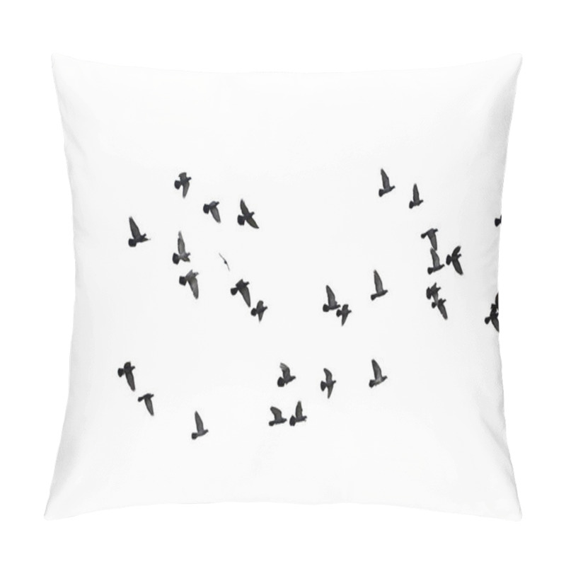 Personality  Flocks Of Flying Pigeons Isolated On White Background. Clipping Path. Pillow Covers