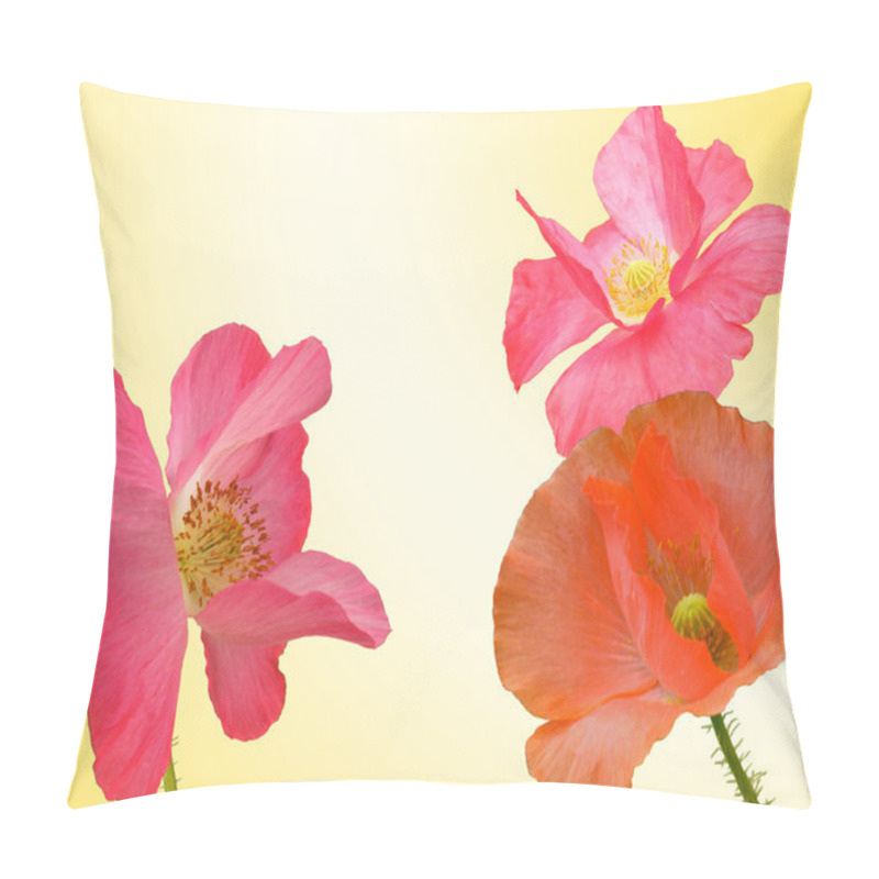 Personality  Flower Field Poppy Pillow Covers