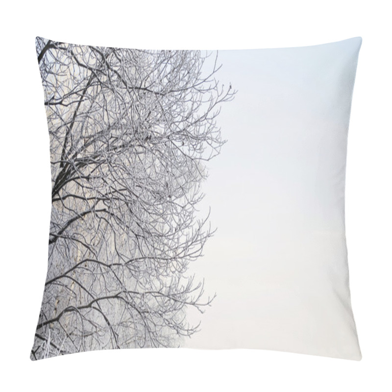 Personality  Hoary Tree Branches Pillow Covers