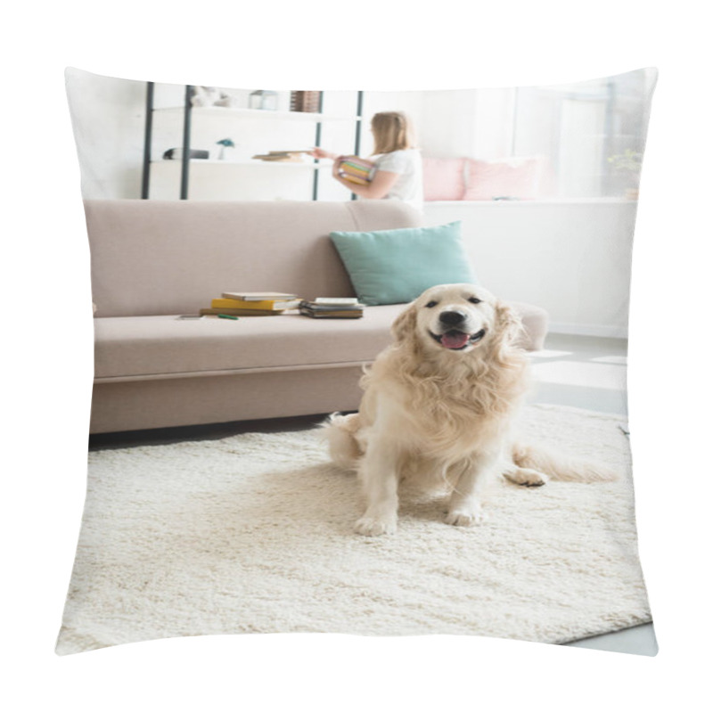 Personality  Beautiful Golden Retriever Sitting On Floor While Owner Taking Books From Shelf Blurred On Background Pillow Covers