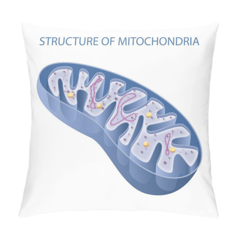 Personality  Components Of A Typical Mitochondrion Pillow Covers