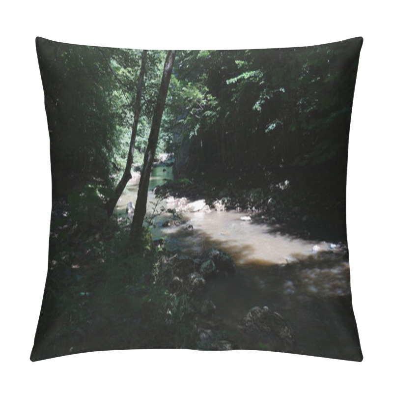 Personality  Tranquil Forest Stream With Dappled Sunlight Creating A Serene Atmosphere. Pillow Covers