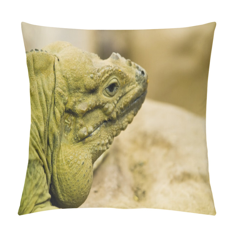 Personality  Green Reptile Head Close Up Detail Pillow Covers