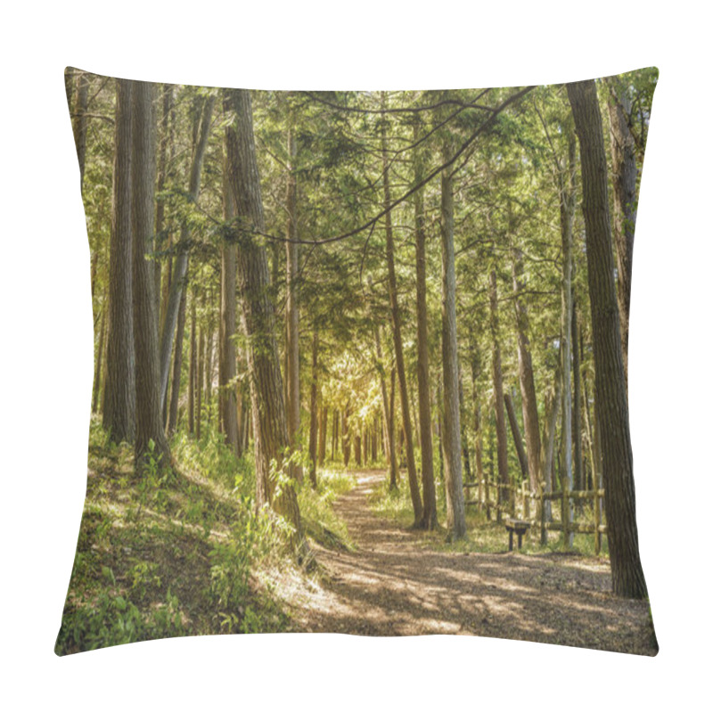 Personality  Trail In Park In Charlevoix Pillow Covers