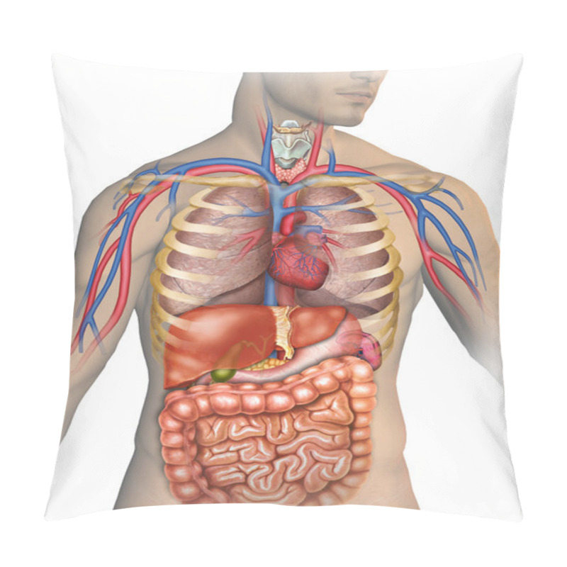 Personality  Human Body Pillow Covers