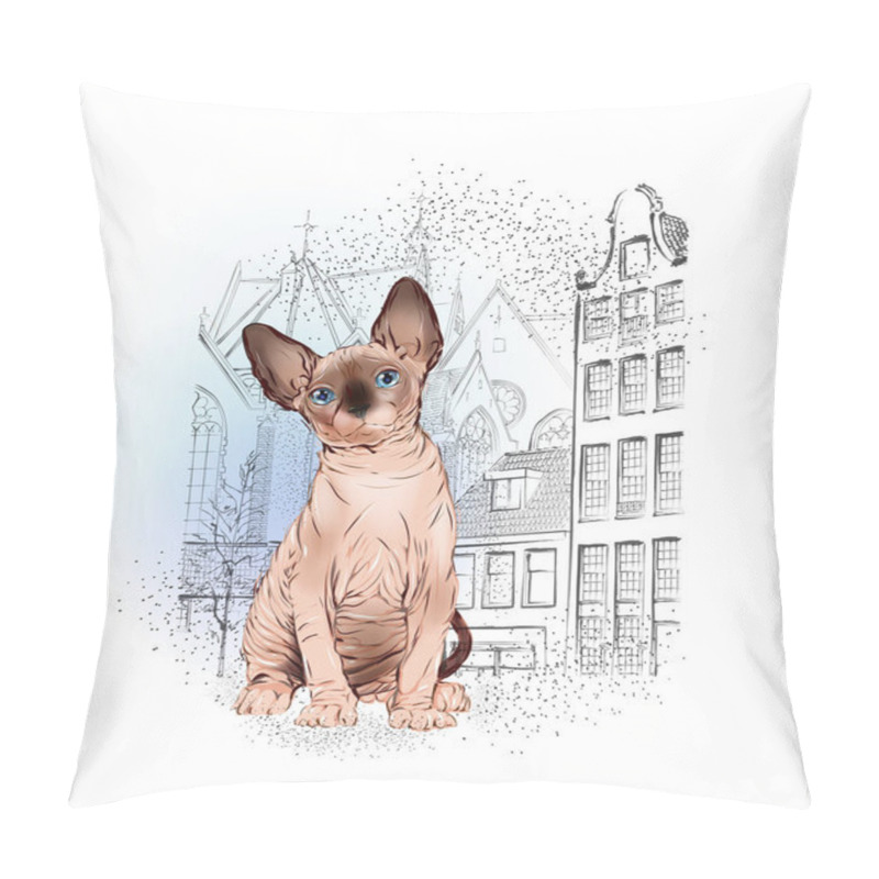 Personality  Sphinx Cat In The Old European City Pillow Covers