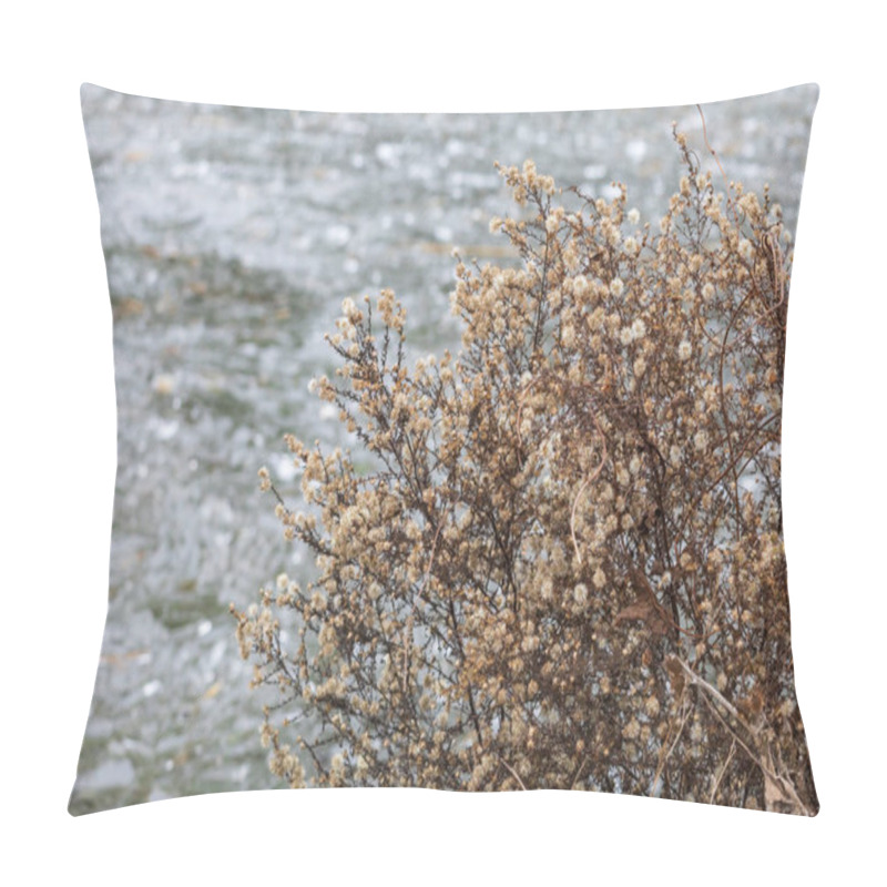 Personality  Reeds Growing Out Of The Water On A Frozen Lake Pillow Covers