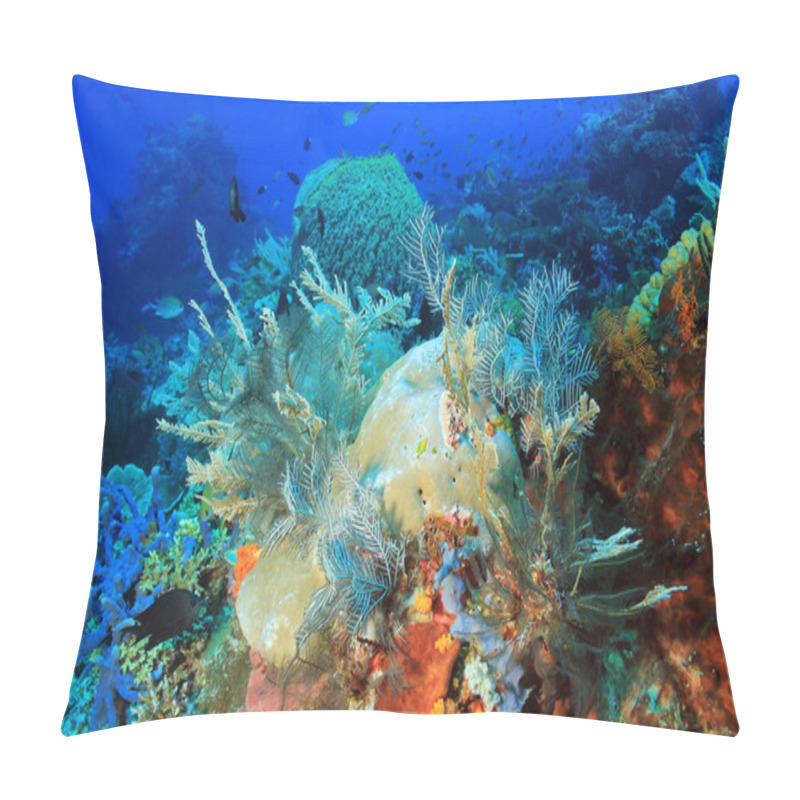 Personality  Komodo Coral Reef Pillow Covers