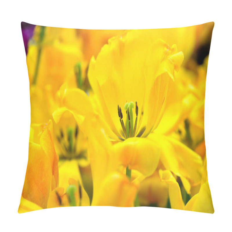 Personality  Blossoming Tulips Close Up Background Pillow Covers